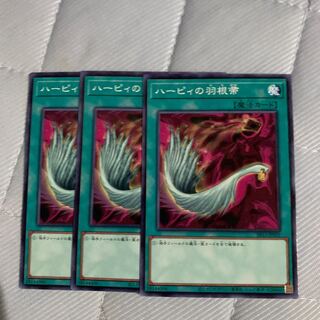 ハーピィの羽根帚 ノーマル