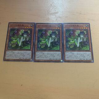 ジーナの蟲惑魔 ノーマル