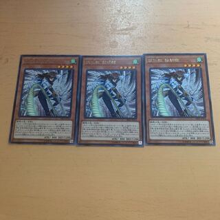 妖仙獣 飯綱鞭 レア