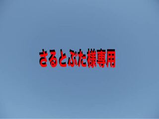 さるとぶた様専用ページ