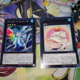 バハムート・シャーク　餅カエル