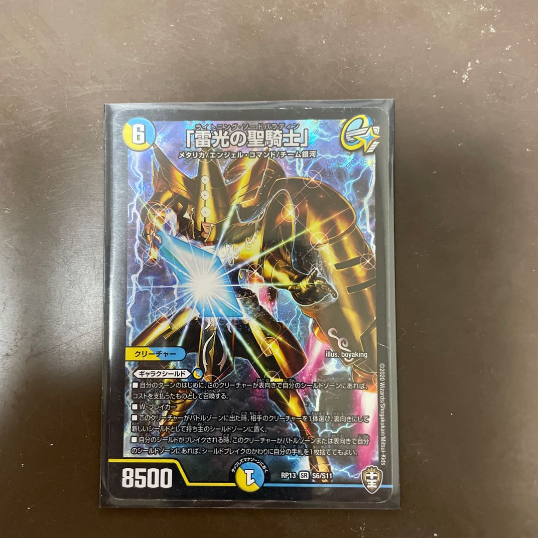 「雷光の聖騎士」