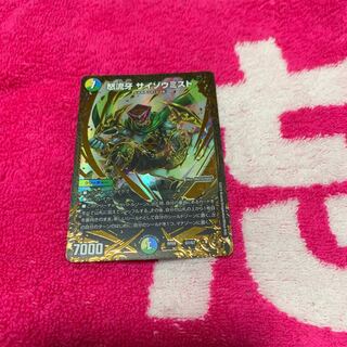 ぺんぎん様専用サイゾウミスト