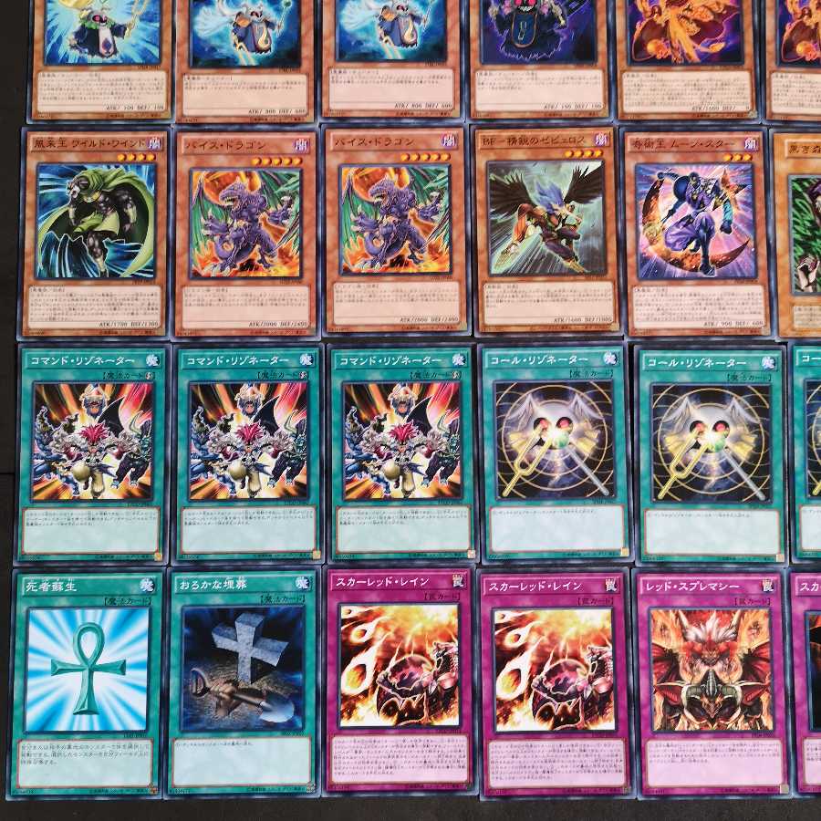 №77　遊戯王　リゾネーター　レッドデーモン　デッキ