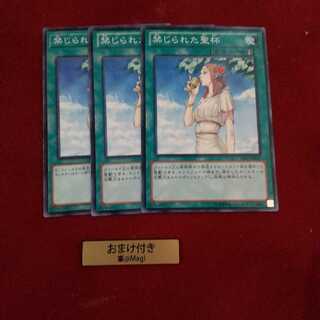 禁じられた聖杯 ノーマル