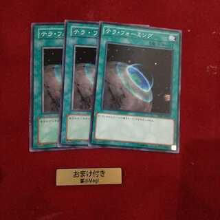 テラ・フォーミング ノーマル