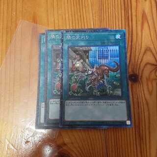 隣の芝刈り コレクターズレア