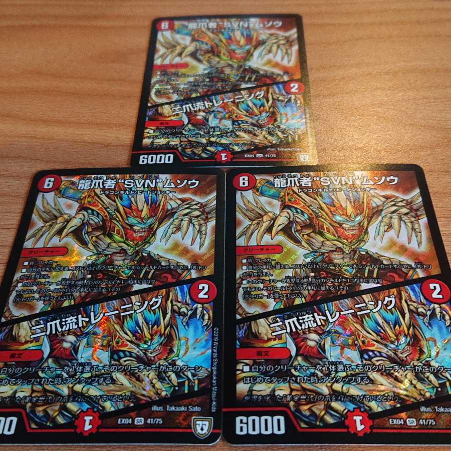 龍爪者“SVN”ムソウ|二爪流トレーニング