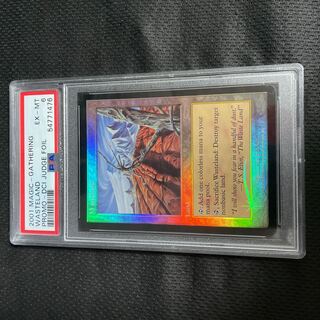 Wasteland/Wasteland promo PSA6