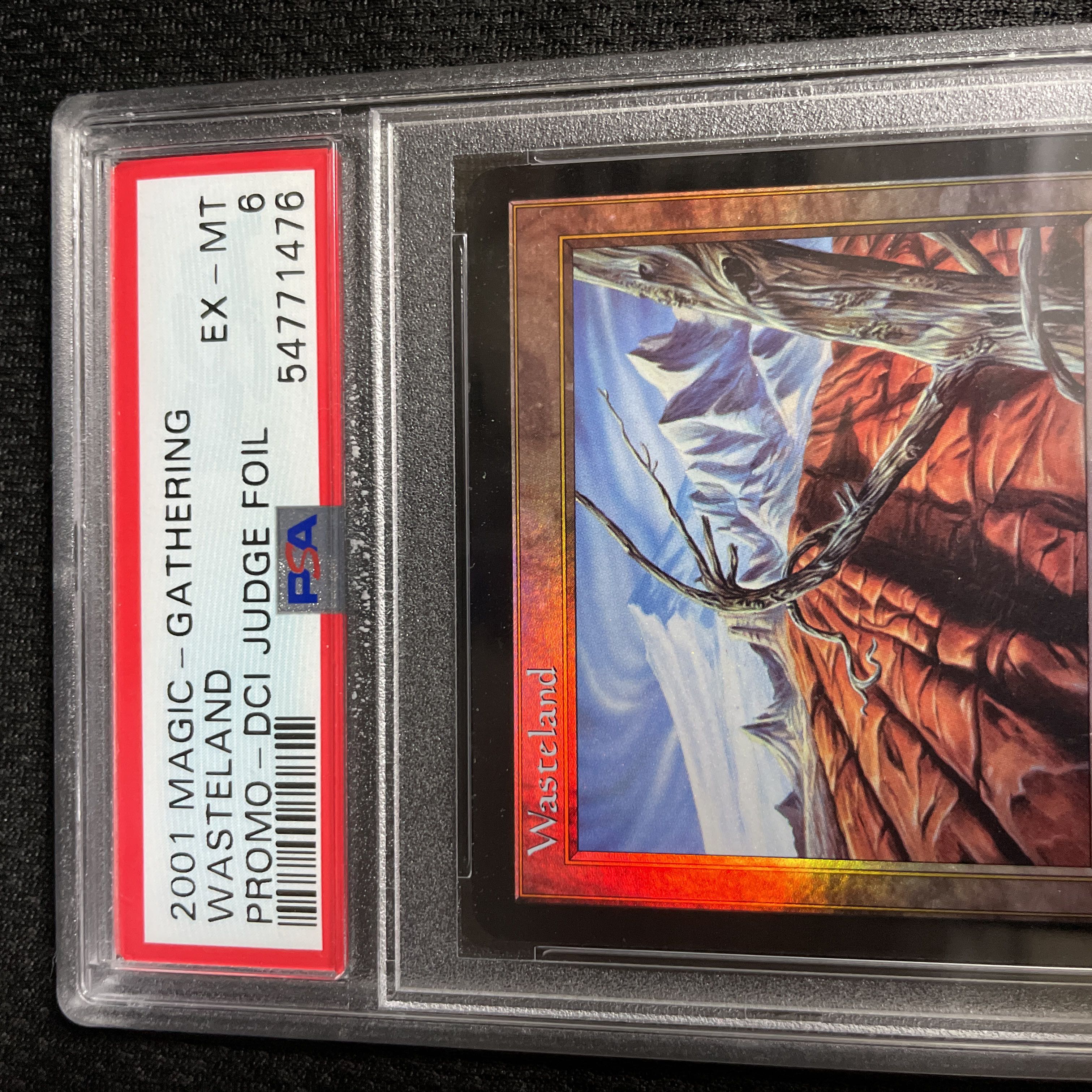 Wasteland/Wasteland promo PSA6