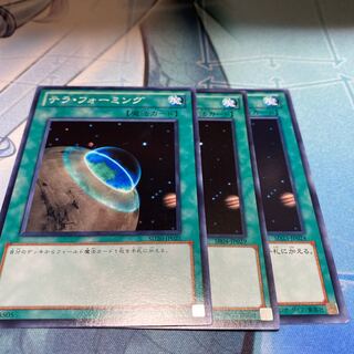 テラ・フォーミング ノーマル　3枚セット