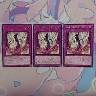 漆黒の薔薇の開華