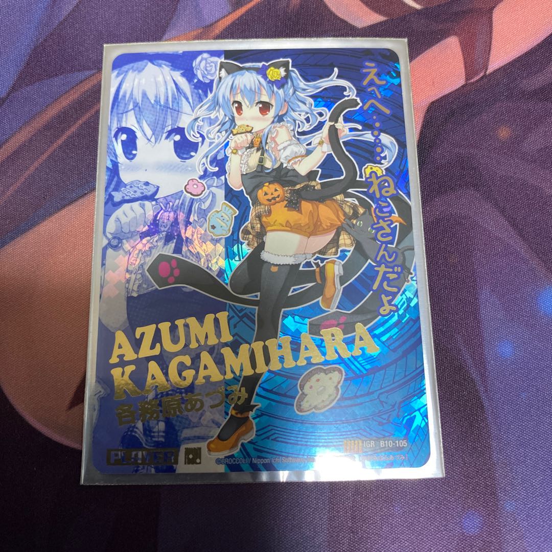 各務原あづみ IGR B10-105