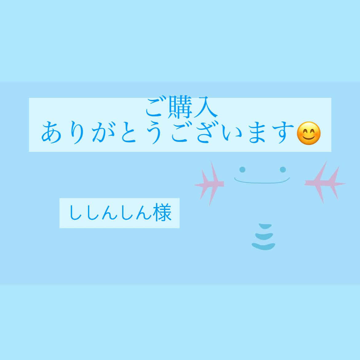 ししんしん様専用ページ