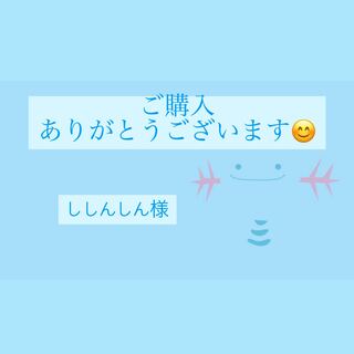 ししんしん様専用ページ