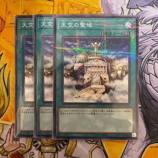 天空の聖域 ノーパラ