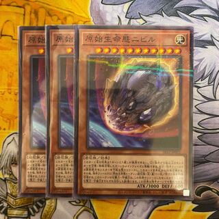 原始生命態ニビル ノーパラ