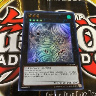 遊戯王 竜巻竜