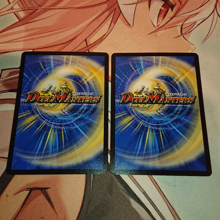 スチーム・ハエタタキ