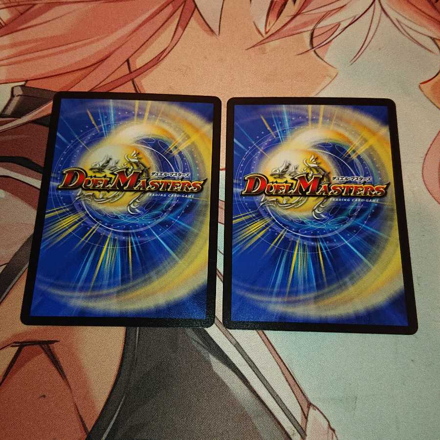 スチーム・ハエタタキ