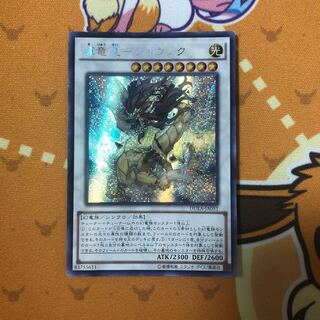 輝竜星-ショウフク アジア シークレット