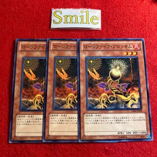 ローンファイア・ブロッサム#1490