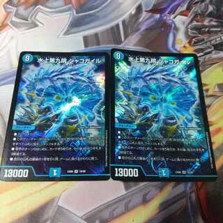 水上第九院 シャコガイル 2枚