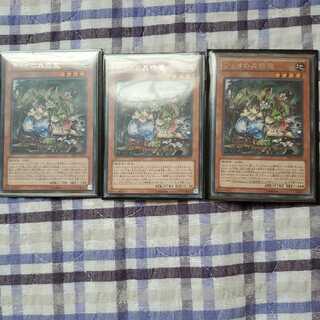 ティオの蟲惑魔 レア