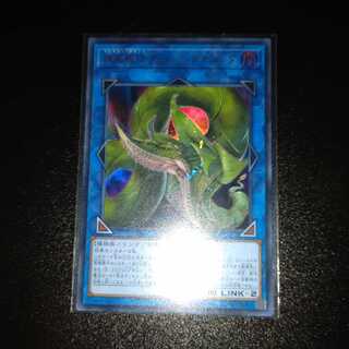 捕食植物ヴェルテ・アナコンダ ウルトラレア