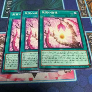 Sunvine Sowing Normal