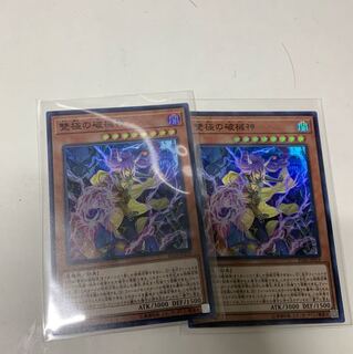 雙極の破械神2枚セット