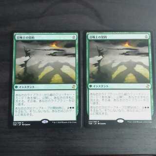 召喚士の契約　日本語版2枚