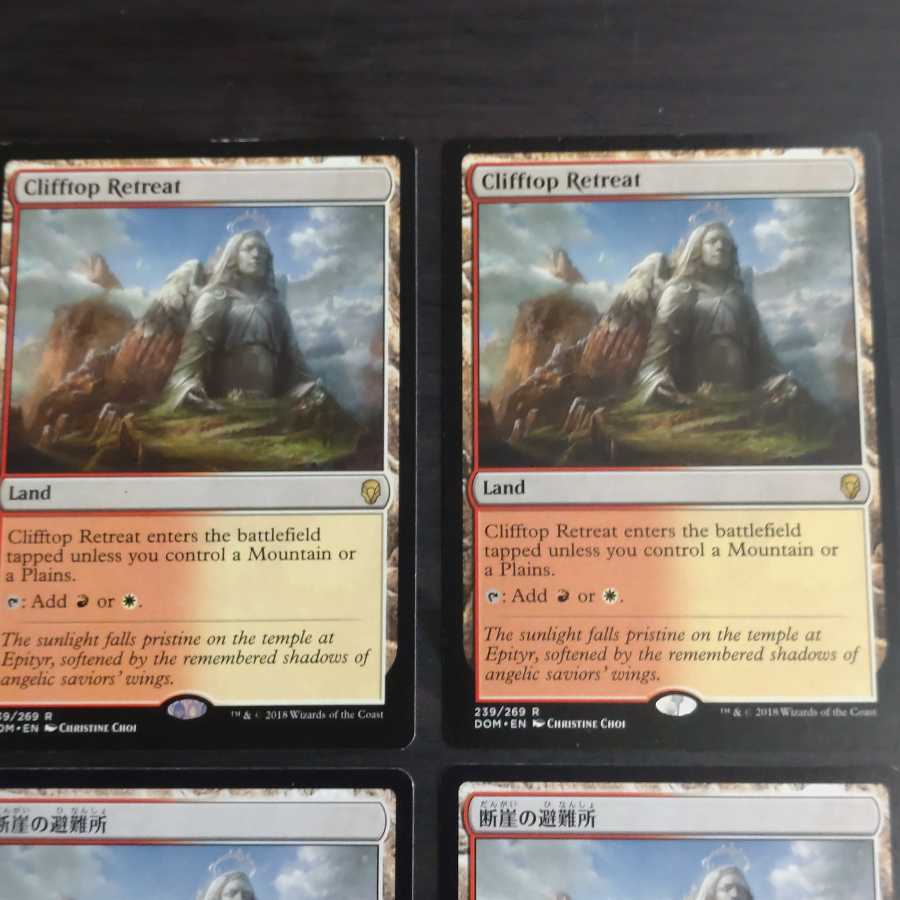 断崖の避難所　日本語版2枚　英語版2枚