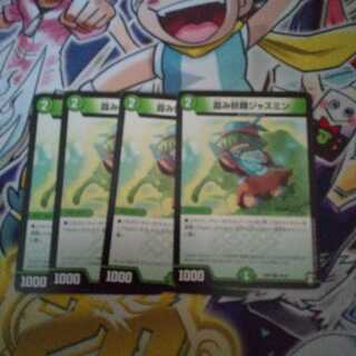 霞み妖精ジャスミン C