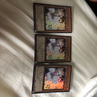 灰流ウララ　3枚セット