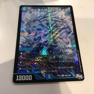 水上第九院 シャコガイル