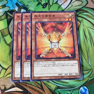 朱光の宣告者　ノーマル3枚