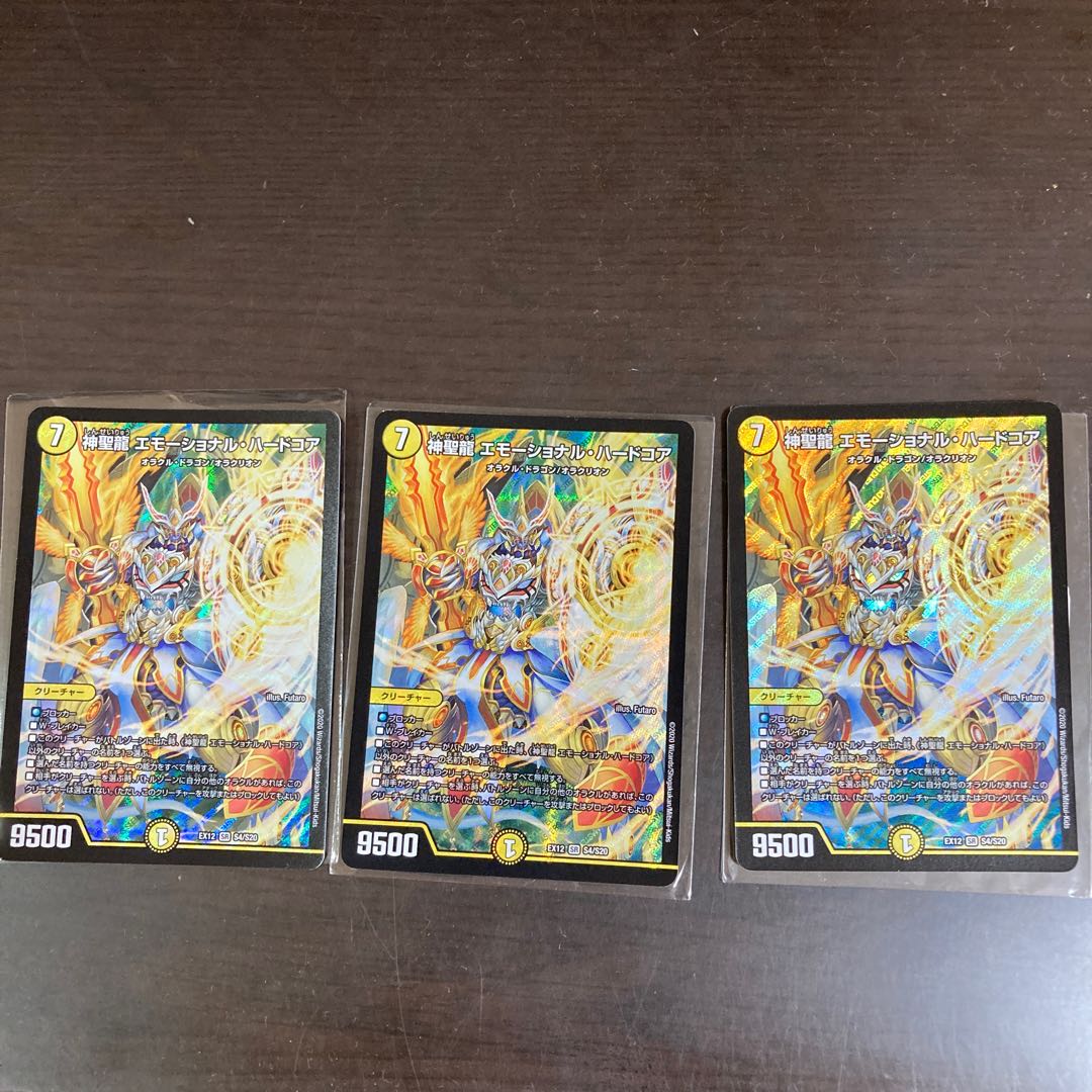 神聖龍 エモーショナル・ハードコア