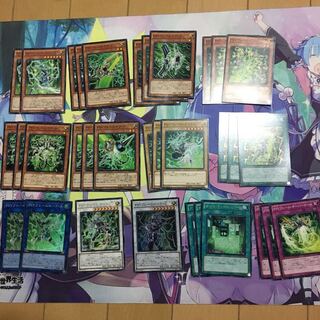 遊戯王 サイフレーム