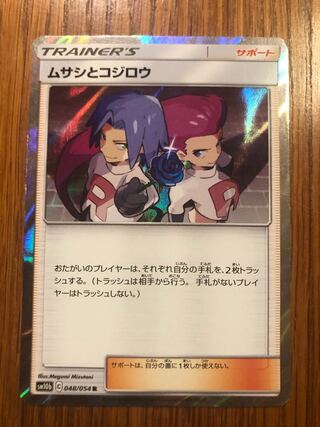 【わんコさま専用】ムサシとコジロウ R