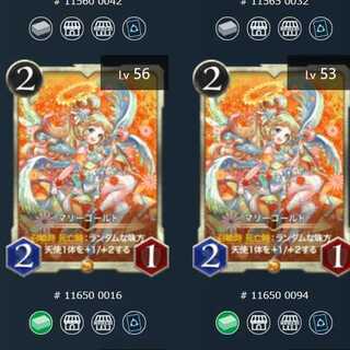 マリーゴールド ２枚セット