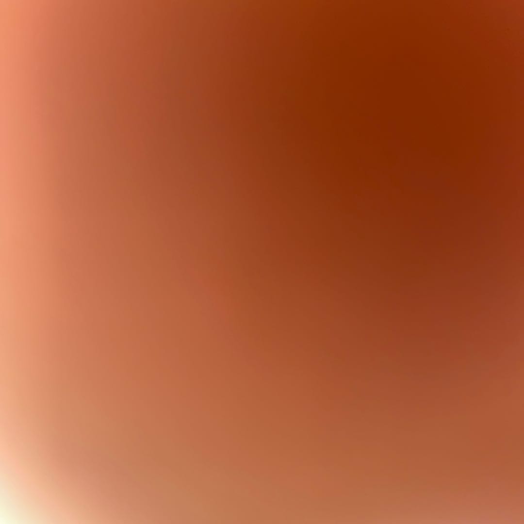 ヴィルジニア様専用