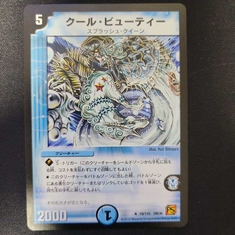 クール・ビューティー