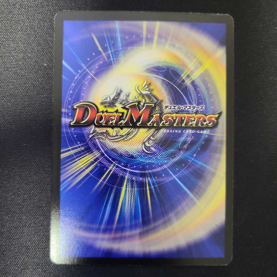 クール・ビューティー