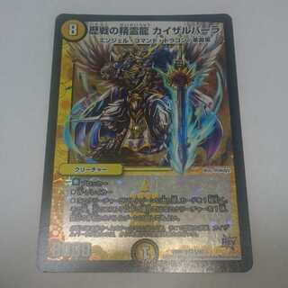 歴戦の精霊龍 カイザルバーラ