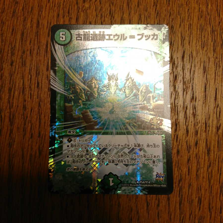 前線突破様専用 古龍遺跡エウル=ブッカ プロモ