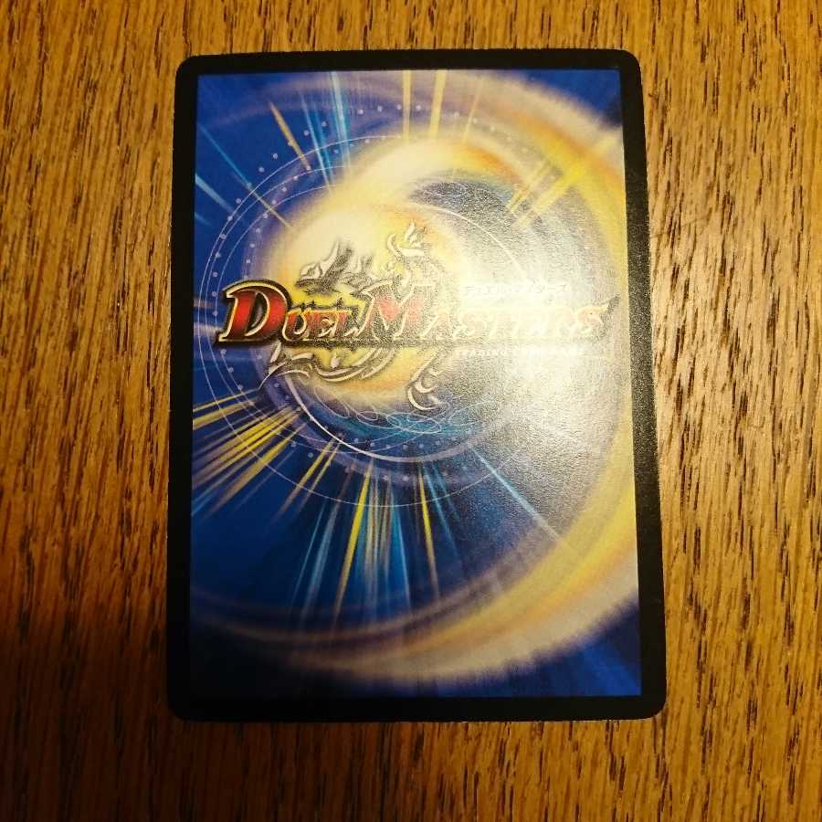 前線突破様専用 古龍遺跡エウル=ブッカ プロモ