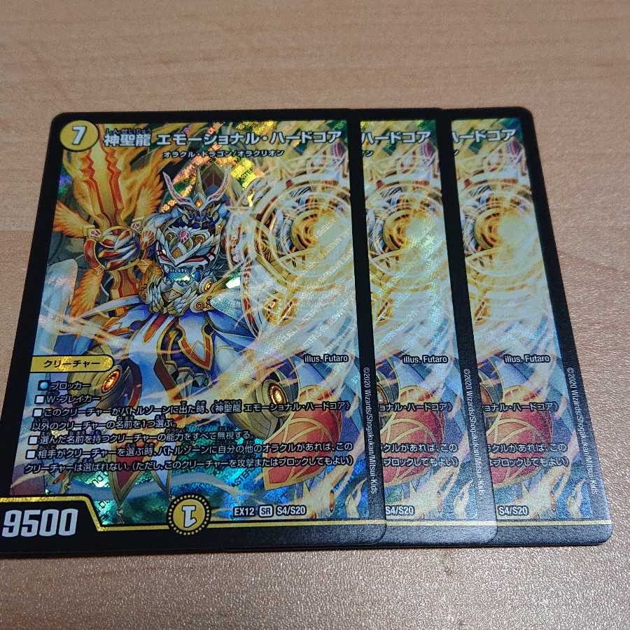 神聖龍 エモーショナル・ハードコア