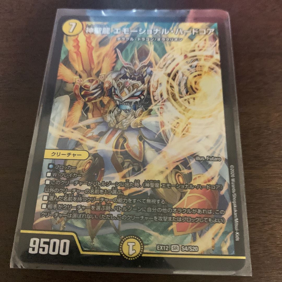 神聖龍 エモーショナル・ハードコア