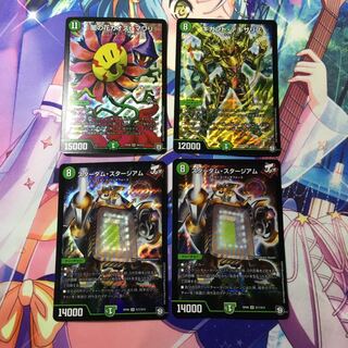 自然スーパーまとめ売り  スターダムスタージアム テキサリス カオスヒマワリ